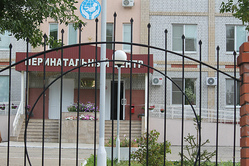 Депутат пообещала разобраться с возможным закрытием перинатального центра в Вольске