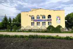 Жительница Москвы назвала вождение в Вольске козлиным