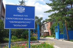 Возбуждено два уголовных дела о загрязнении Волги и почвы в Вольске