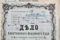 Вольского крестьянина за оскорбление официально признали тупым