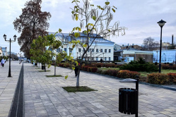 Руководство Вольского театра обвинили в пренебрежительном отношении к СВО