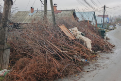 Жители Вольска опасаются пожаров от мусорных завалов