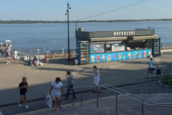 Москвичи ужаснулись, как Вольск зарос мусором и травой