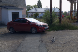 В Вольске автохамка едва не сбила пенсионера и припарковалась на тротуаре