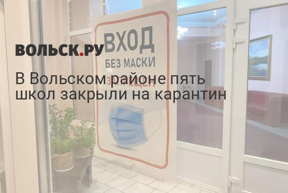 ������ Tb 500 �������� ���� ������: ����.