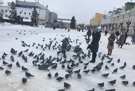 Администрация призывает украсить Вольск к Новому году