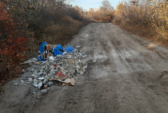 Львову рощу превратили в свалку для мусора