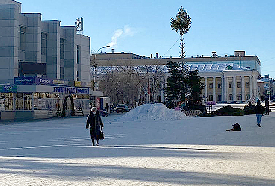 В Вольске главную елку собрали из сосен