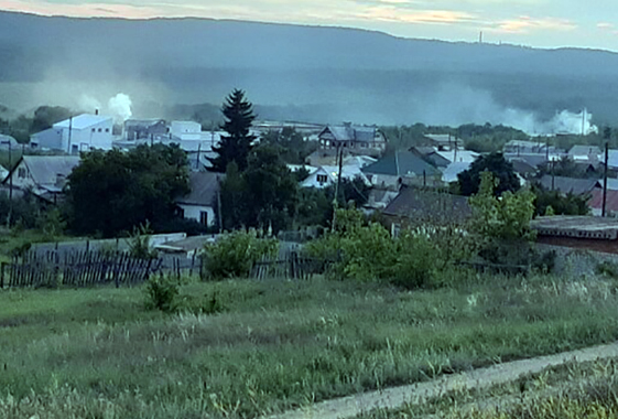 Производителей древесного угля обвинили в страданиях жителей Вольска