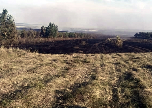 Под Вольском сгорело 15 гектаров леса и травы