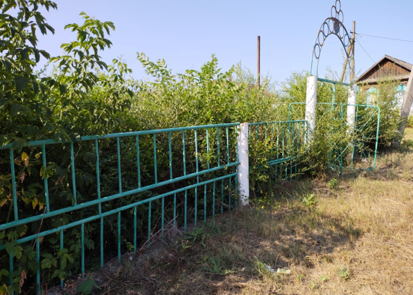 В селе под Вольском сквер зарос и превратился в дебри