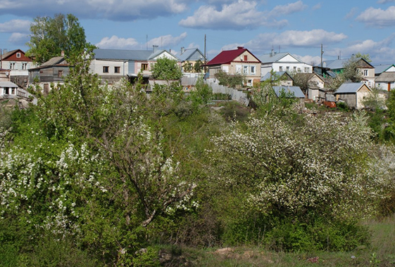 В Вольске планируют заасфальтировать дорогу через Львову рощу