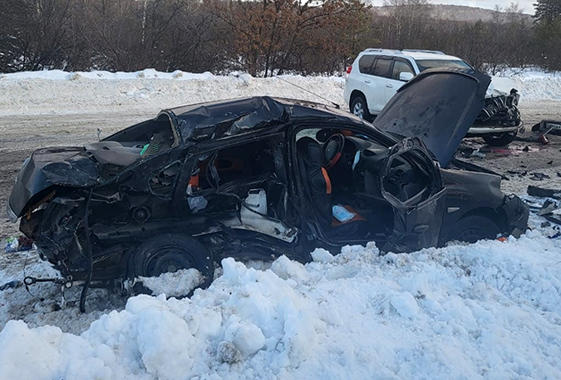 В такси под Вольском погибла одинокая мать 9 детей