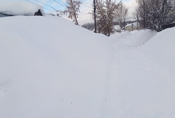 В Вольске переулок с пенсионерами засыпало снегом