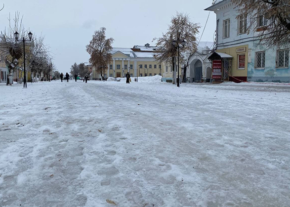 В Вольске боятся детей выпускать на улицу из-за гололеда и собак