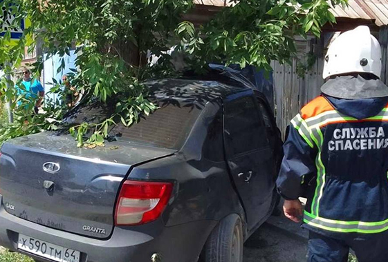 В Вольске водитель «Гранты» погиб при столкновении с деревом