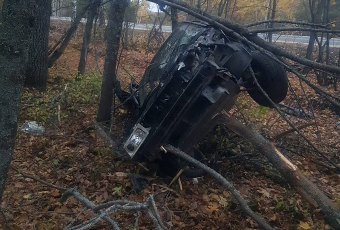 Под Вольском водитель врезался в дерево и погиб