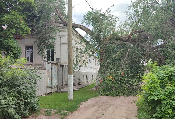 В Вольске дерево упало на крышу детского сада