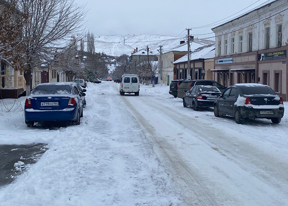 Жители Вольска жалуются на растерзанных кошек