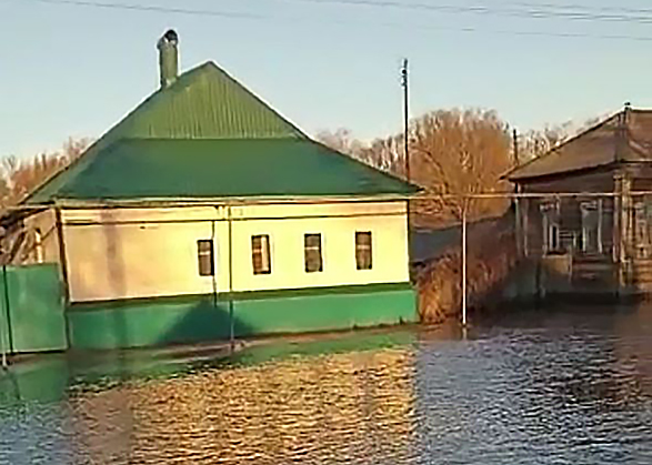 Житель сообщил об утонувшей скотине в селе под Вольском