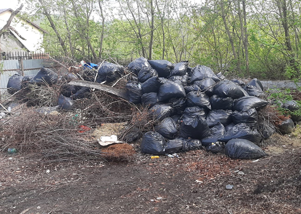 В центре Вольска обнаружили горы мусора