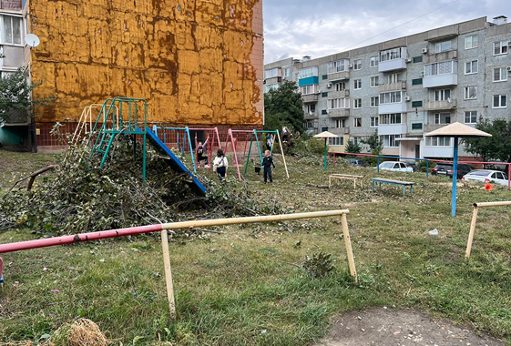 В Вольске детскую площадку закидали обрезанными ветками