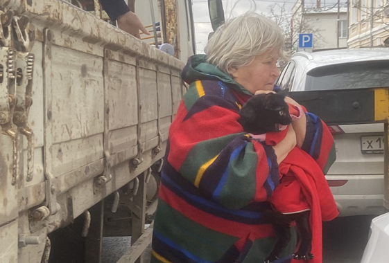 В Вольске спасли оравшего три дня на дереве кота