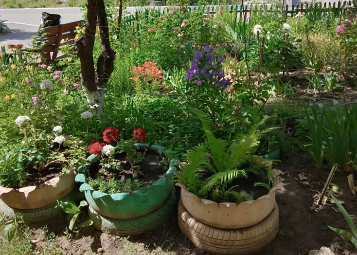 Жители Вольска пожаловались на огороды у многоквартирных домов