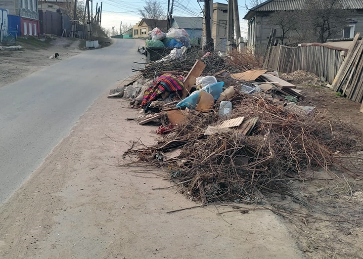 В Вольске улицу на горах закидали мусором