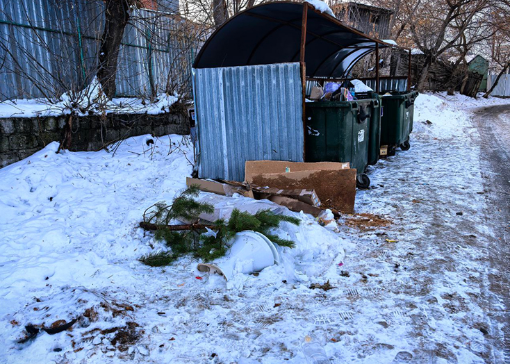 В Вольске от новогодних елок избавляются вместе с унитазами