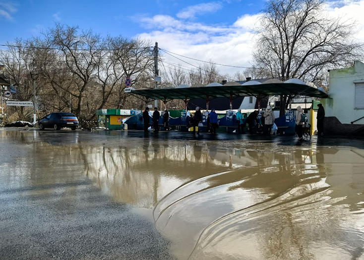 В Вольске некультурным водителям пригрозили «морду облить»