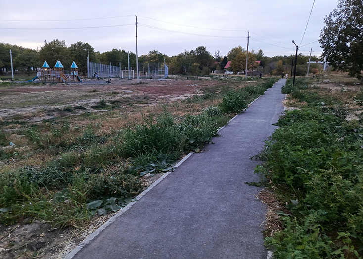 В Вольске новые скверы заросли сорняками