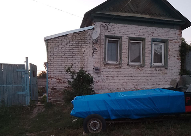 В Вольске юный живодер убивает котят и мучает собак