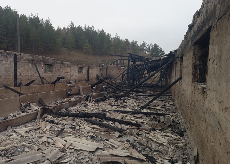 В Вольском районе сгорела ферма