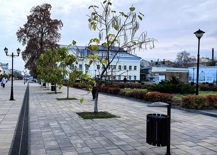 Руководство Вольского театра обвинили в пренебрежительном отношении к СВО