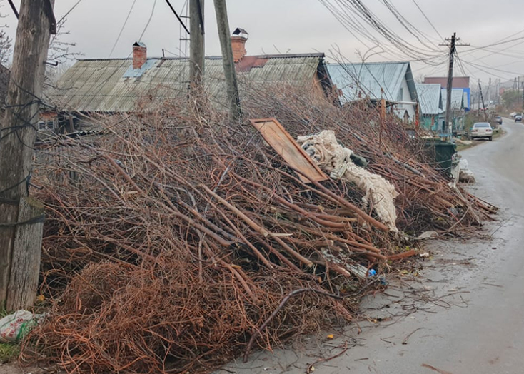 Жители Вольска опасаются пожаров от мусорных завалов