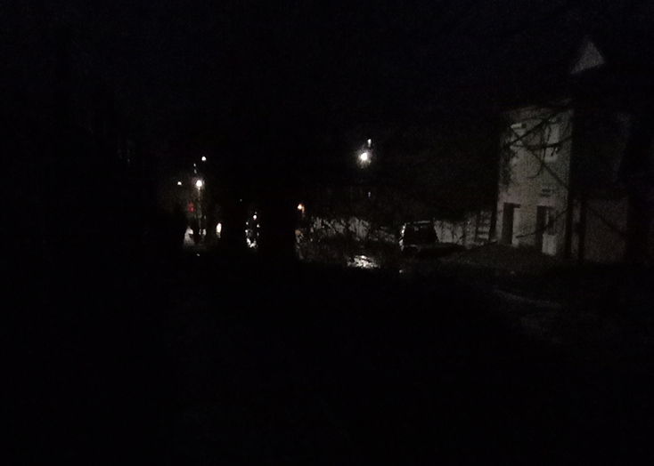 Жители Вольска пожаловались на потемки и сучья по пути в школу