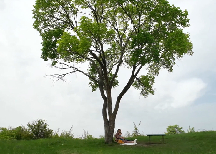 Школьница из Вольска сняла трогательный ролик для экологической премии