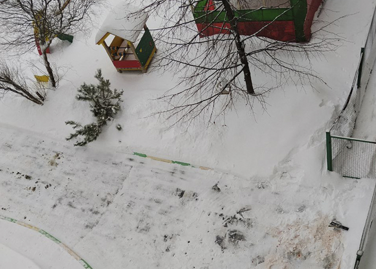 В Вольске мужчина бросался елкой перед падением из окна на территорию детсада