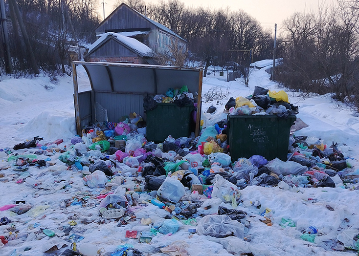В Вольске не вывозят мусор, его растаскивают животные и птицы