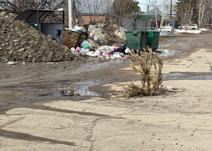 В Вольске о провалах на дороге предупредили новогодней елкой