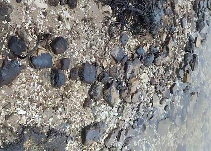 Берег Волги в Вольске залит мазутом