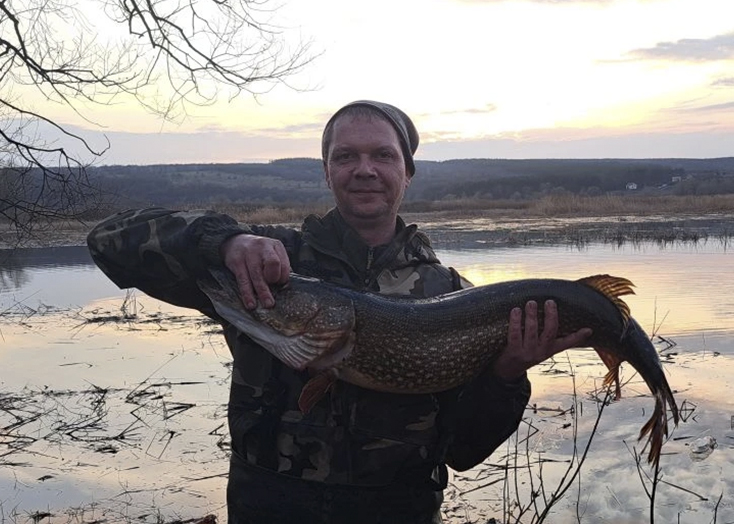 Саратовский чиновник купил у рыбака из Вольска щуку с 2 кг икры