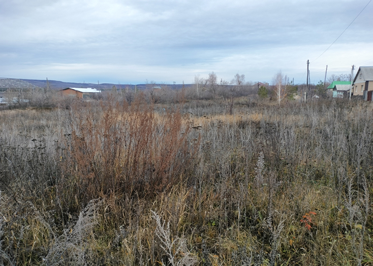 Вольские чиновники продают пустырь около кладбища за 2,3 млн рублей