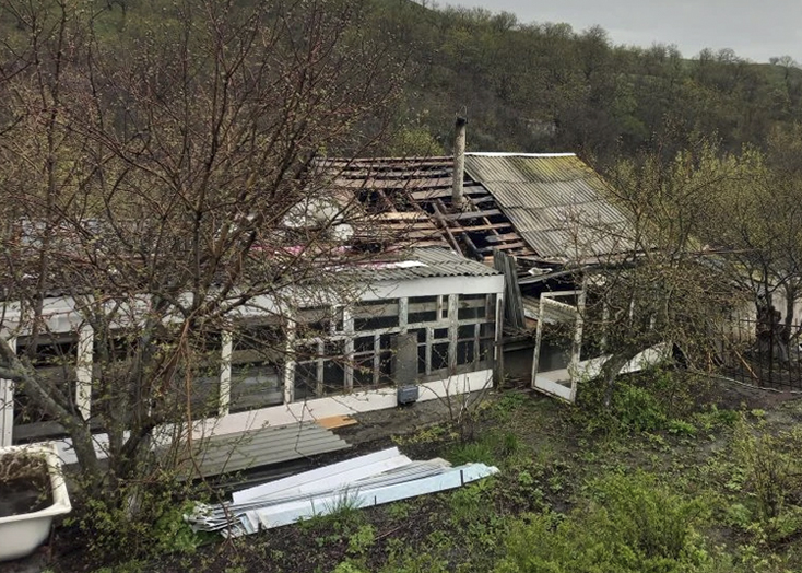 Пожарные спасли кур при тушении сарая в Вольске