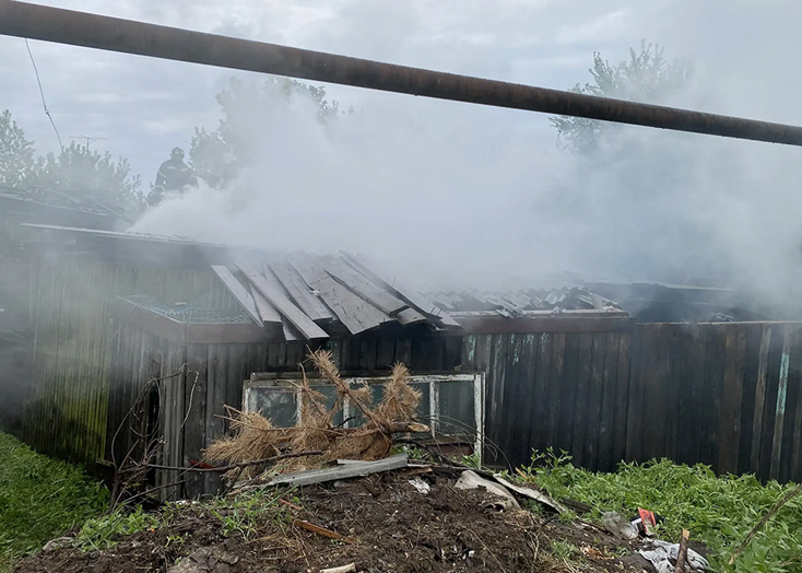 На пожаре Вольске спасли борова и кроликов