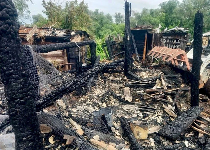 На пожаре в Вольском районе сгорели 30 бройлеров, 34 кролика и бык