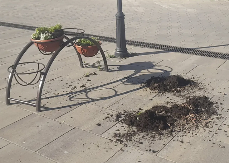 На День России вандалы разбили кашпо в центре Вольска