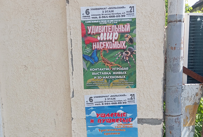Омского предпринимателя оштрафовали на 40 тысяч за расклейку рекламы в Вольске
