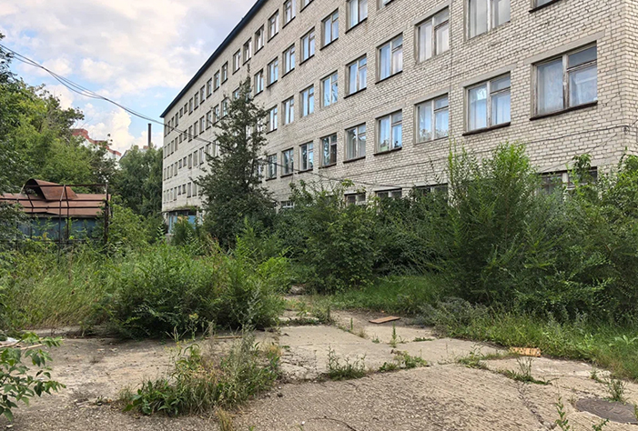 Областного депутата от Вольска пристыдили за заросшую территорию
